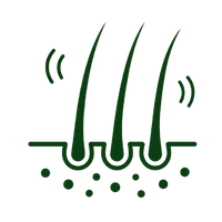 Illustration of hair follicles with green hair and black roots on a white background of a dog paw. 