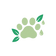 Paw Hygiene