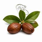 Jojoba Oil